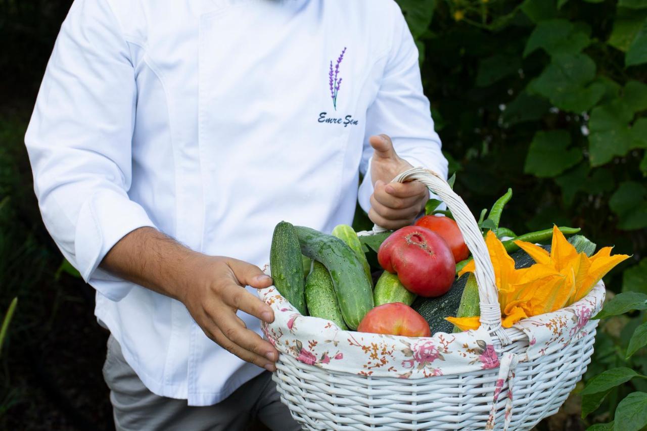 Casa Lavanda Boutique Hotel Ağva Eksteriør bilde